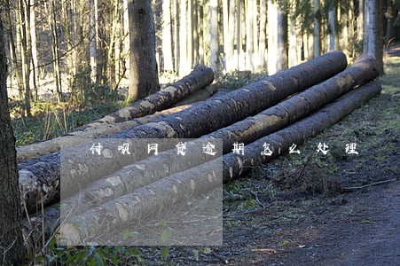 付呗网贷逾期怎么处理 付呗网贷逾期怎么处理