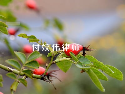 付姣伟律师 付姣伟律师