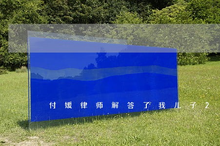 付媛律师解答了我儿子2岁 付媛律师解答了我儿子2岁