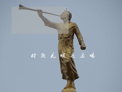 付款花呗违法吗 付款花呗违法吗