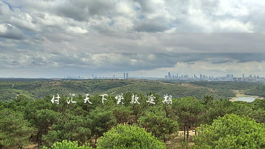 付汇天下贷款逾期 付汇天下贷款逾期