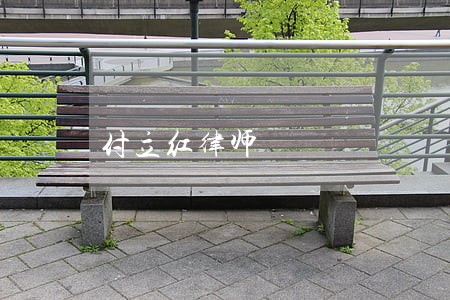 付立红律师 付立红律师
