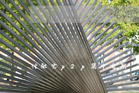 付融宝p2p集中逾期 付融宝p2p集中逾期