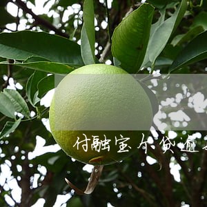 付融宝个贷逾期公布 付融宝个贷逾期公布