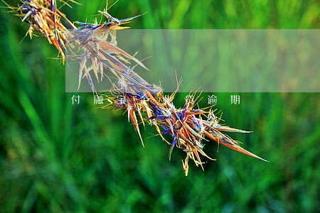 付融宝企业贷逾期 付融宝企业贷逾期