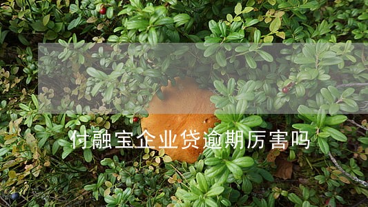 付融宝企业贷逾期厉害吗 付融宝企业贷逾期厉害吗