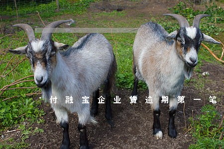 付融宝企业贷逾期第一笔回款 付融宝企业贷逾期第一笔回款