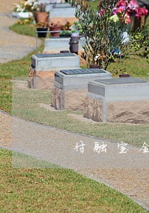 付融宝全面逾期 付融宝全面逾期