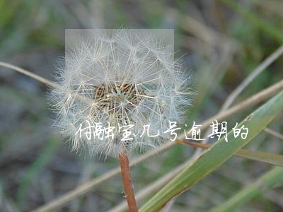 付融宝几号逾期的 付融宝几号逾期的