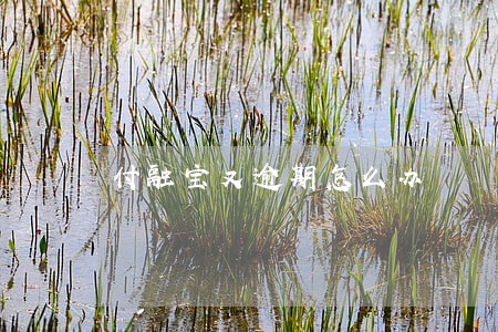 付融宝又逾期怎么办 付融宝又逾期怎么办