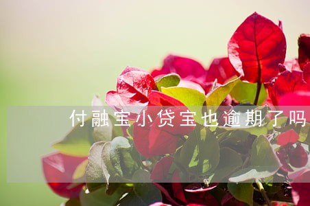 付融宝小贷宝也逾期了吗 付融宝小贷宝也逾期了吗