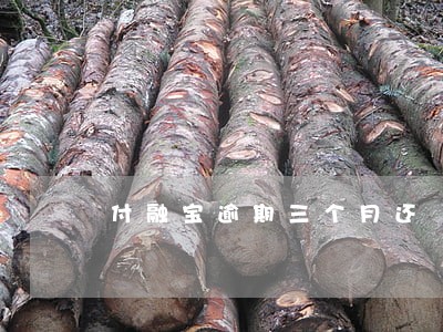 付融宝逾期三个月还 付融宝逾期三个月还