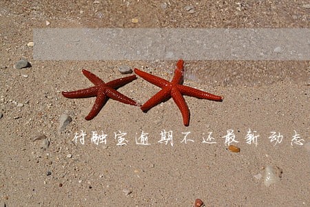 付融宝逾期不还最新动态 付融宝逾期不还最新动态