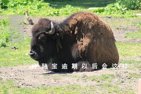 付融宝逾期以后会这样 付融宝逾期以后会这样