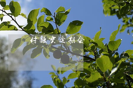付融宝逾期会 付融宝逾期会