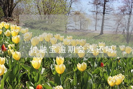 付融宝逾期会返还吗 付融宝逾期会返还吗