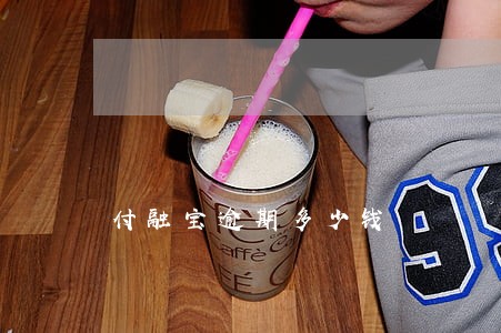 付融宝逾期多少钱 付融宝逾期多少钱