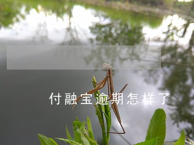 付融宝逾期怎样了 付融宝逾期怎样了