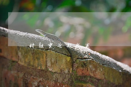 付融宝逾期报案 付融宝逾期报案