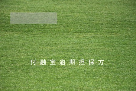 付融宝逾期担保方 付融宝逾期担保方