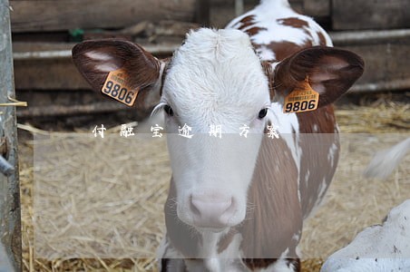 付融宝逾期方案