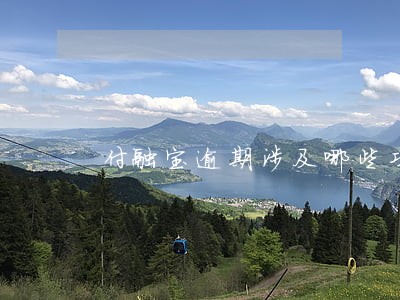 付融宝逾期涉及哪些项目 付融宝逾期涉及哪些项目