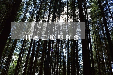 付融宝逾期资金