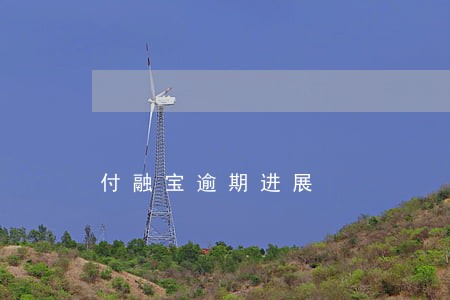 付融宝逾期进展 付融宝逾期进展