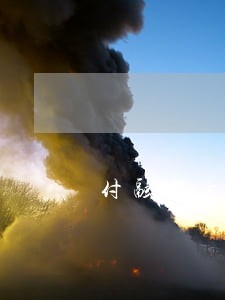 付融宝逾期项目 付融宝逾期项目