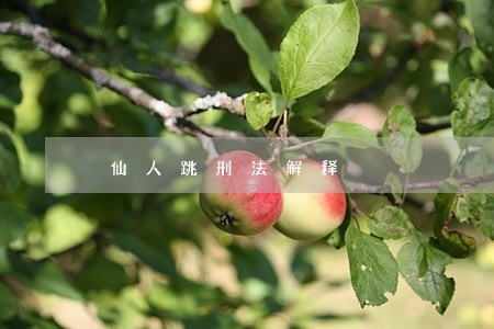 仙人跳刑法解释 仙人跳刑法解释