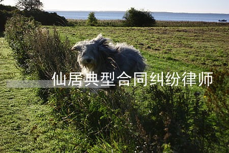 仙居典型合同纠纷律师 仙居典型合同纠纷律师