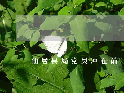 仙居县局党员冲在前 仙居县局党员冲在前
