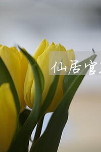 仙居官路镇律师名录 仙居官路镇律师名录