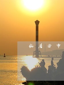 仙居田市镇合同律师 仙居田市镇合同律师