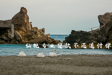 仙桃专业贷款不还追讨律师 仙桃专业贷款不还追讨律师