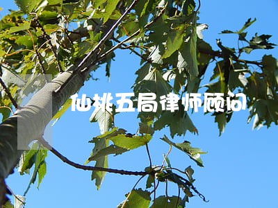 仙桃五局律师顾问 仙桃五局律师顾问