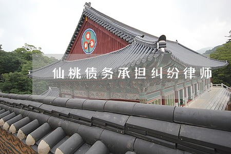 仙桃债务承担纠纷律师