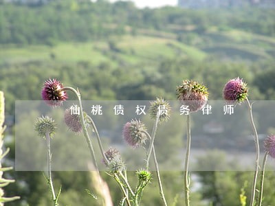 仙桃债权债务律师 仙桃债权债务律师