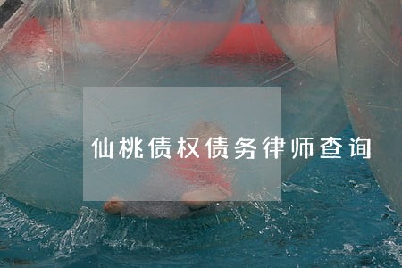 仙桃债权债务律师查询