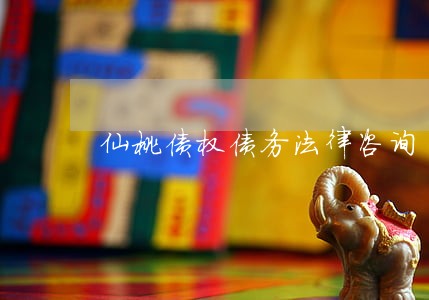 仙桃债权债务法律咨询 仙桃债权债务法律咨询