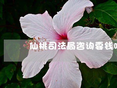 仙桃司法局咨询要钱吗 仙桃司法局咨询要钱吗