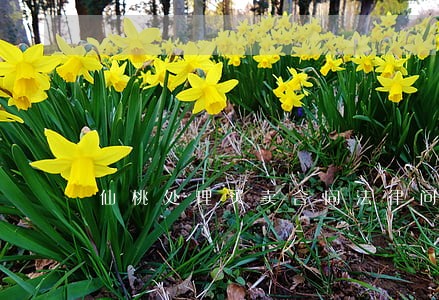仙桃处理买卖合同法律问题律师 仙桃处理买卖合同法律问题律师