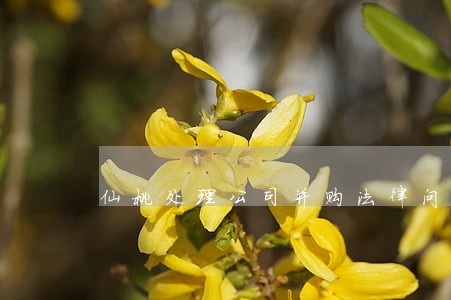 仙桃处理公司并购法律问题律师 仙桃处理公司并购法律问题律师