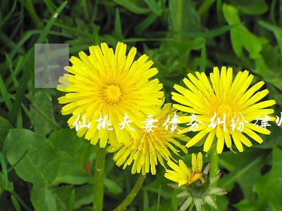仙桃夫妻债务纠纷律师 仙桃夫妻债务纠纷律师