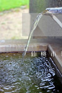 仙桃市教师资格条例实施细则 仙桃市教师资格条例实施细则