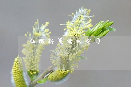 仙桃新闻侵权律师 仙桃新闻侵权律师