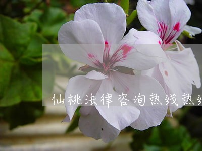 仙桃法律咨询热线热线 仙桃法律咨询热线热线