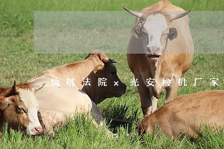 仙桃法院x光安检机厂家批发价格 仙桃法院x光安检机厂家批发价格