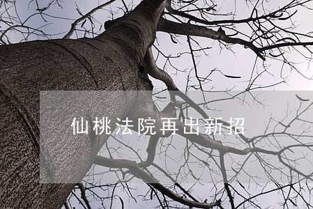 仙桃法院再出新招 仙桃法院再出新招