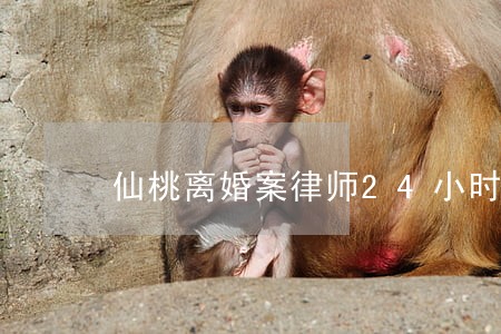 仙桃离婚案律师24小时在线咨询 仙桃离婚案律师24小时在线咨询